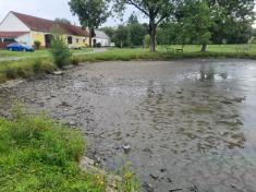 Revitalizace rybníku Krejčovák